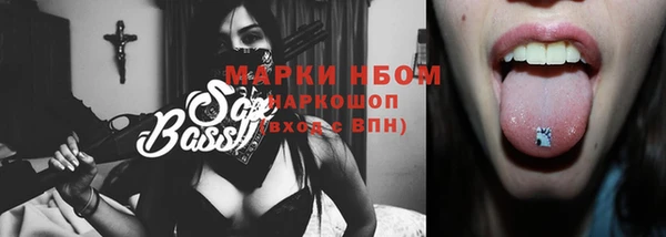 ГАЛЛЮЦИНОГЕННЫЕ ГРИБЫ Бородино