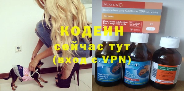 ГАЛЛЮЦИНОГЕННЫЕ ГРИБЫ Бородино