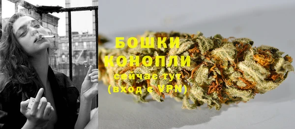 ГАЛЛЮЦИНОГЕННЫЕ ГРИБЫ Бородино