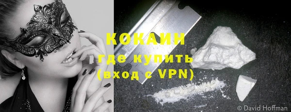 ГАЛЛЮЦИНОГЕННЫЕ ГРИБЫ Бородино