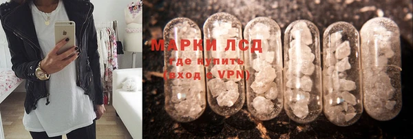 ГАЛЛЮЦИНОГЕННЫЕ ГРИБЫ Бородино