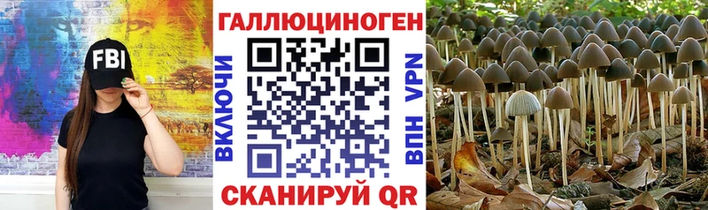 omg рабочий сайт  Тбилисская  Галлюциногенные грибы Psilocybine cubensis  наркотики 